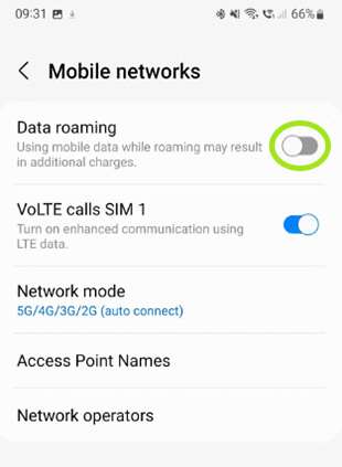 Settings - Mobile networks - Data roaming on Android screen 1